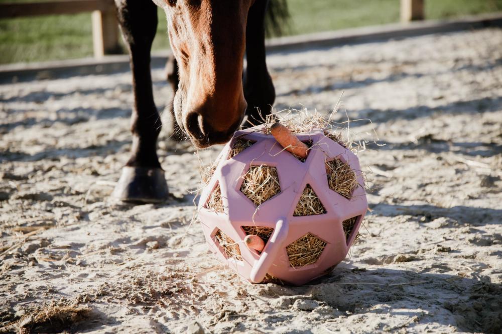 Relax Pferde Spiel & Heuball - Kentucky Horsewear