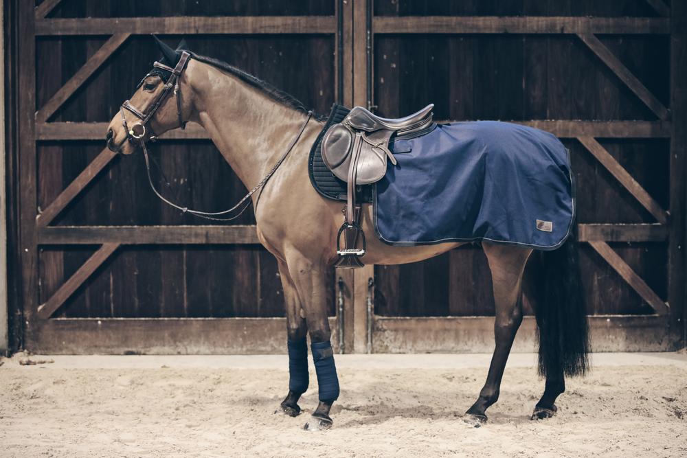 Ausreitdecke Quadrat All Weather