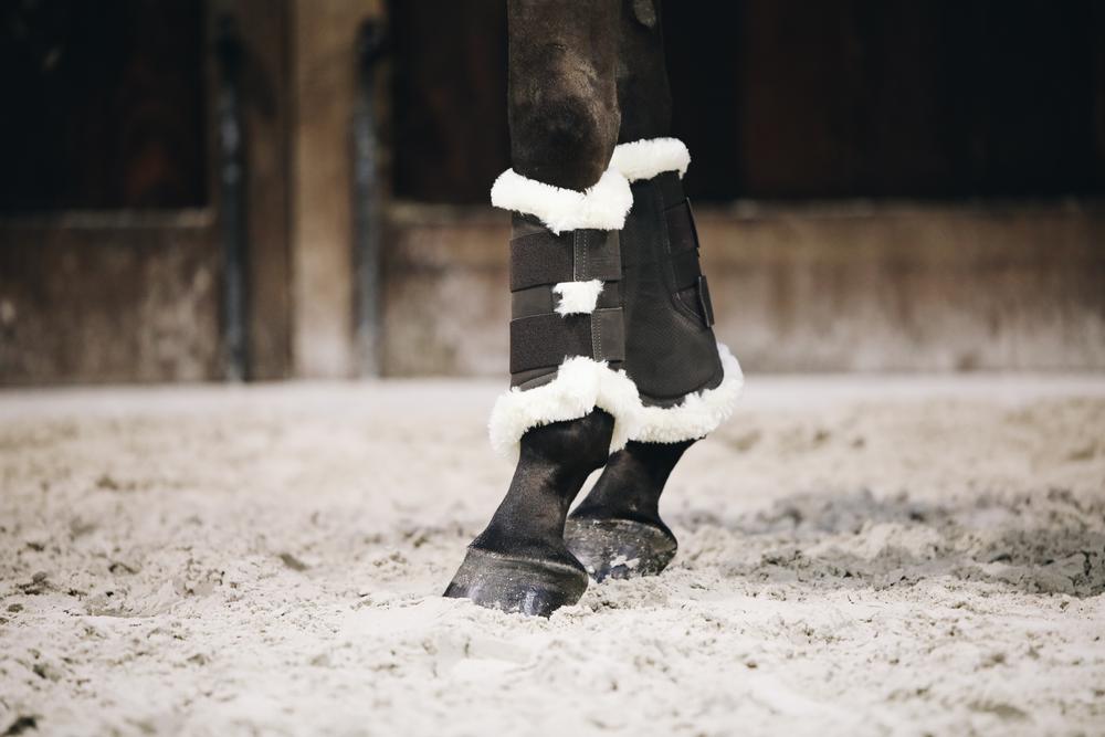 Brushing Boots Air - Kentucky Horsewear