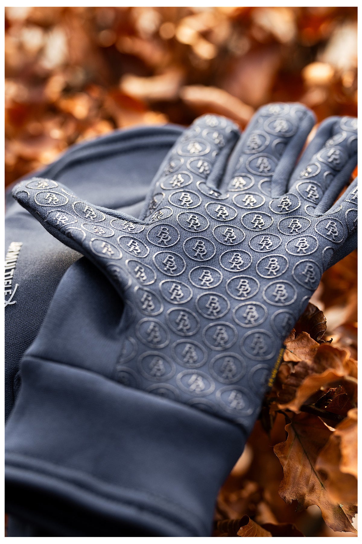 BR Winterhandschuhe Multiflex