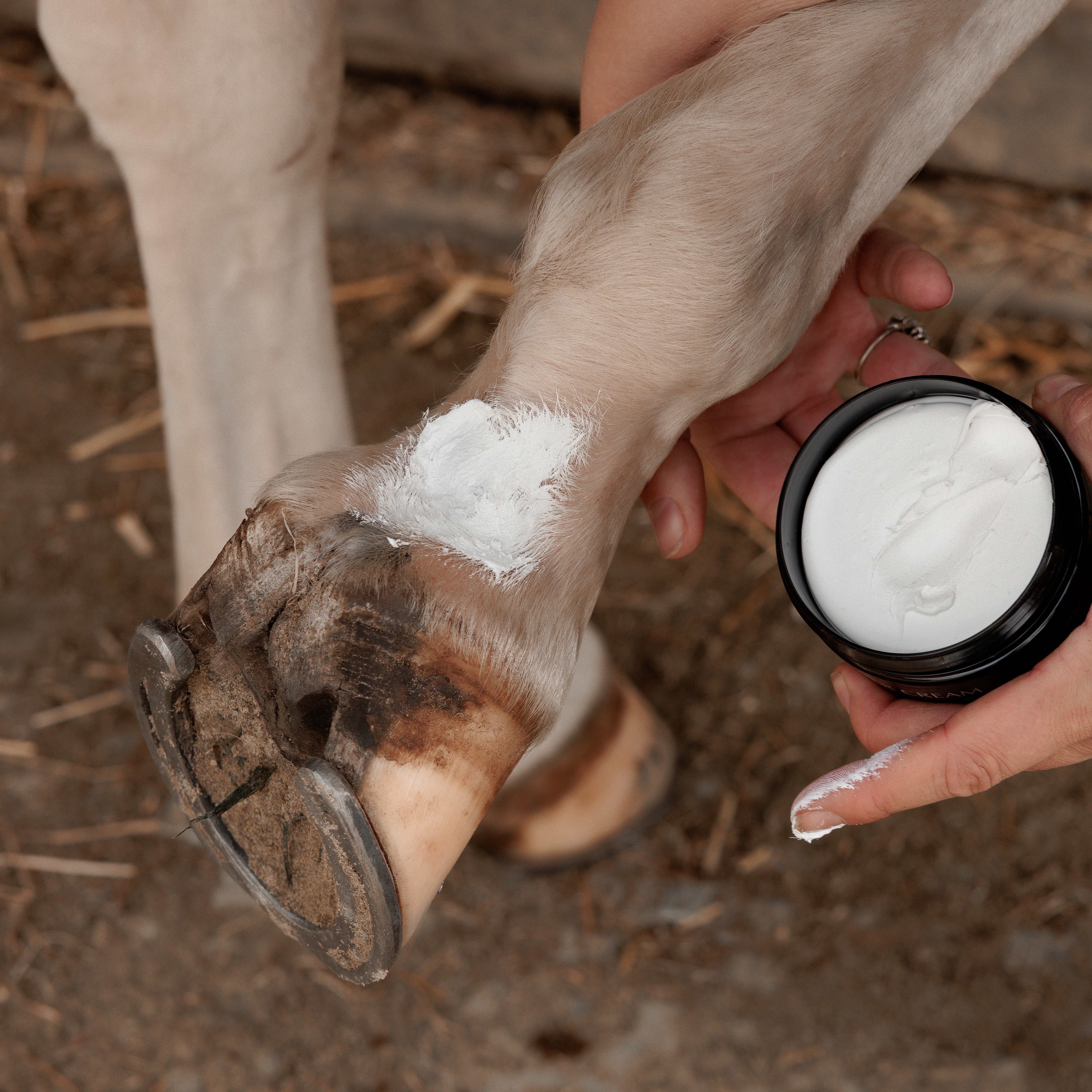 GD Mud Fever Creme Plus 250ml