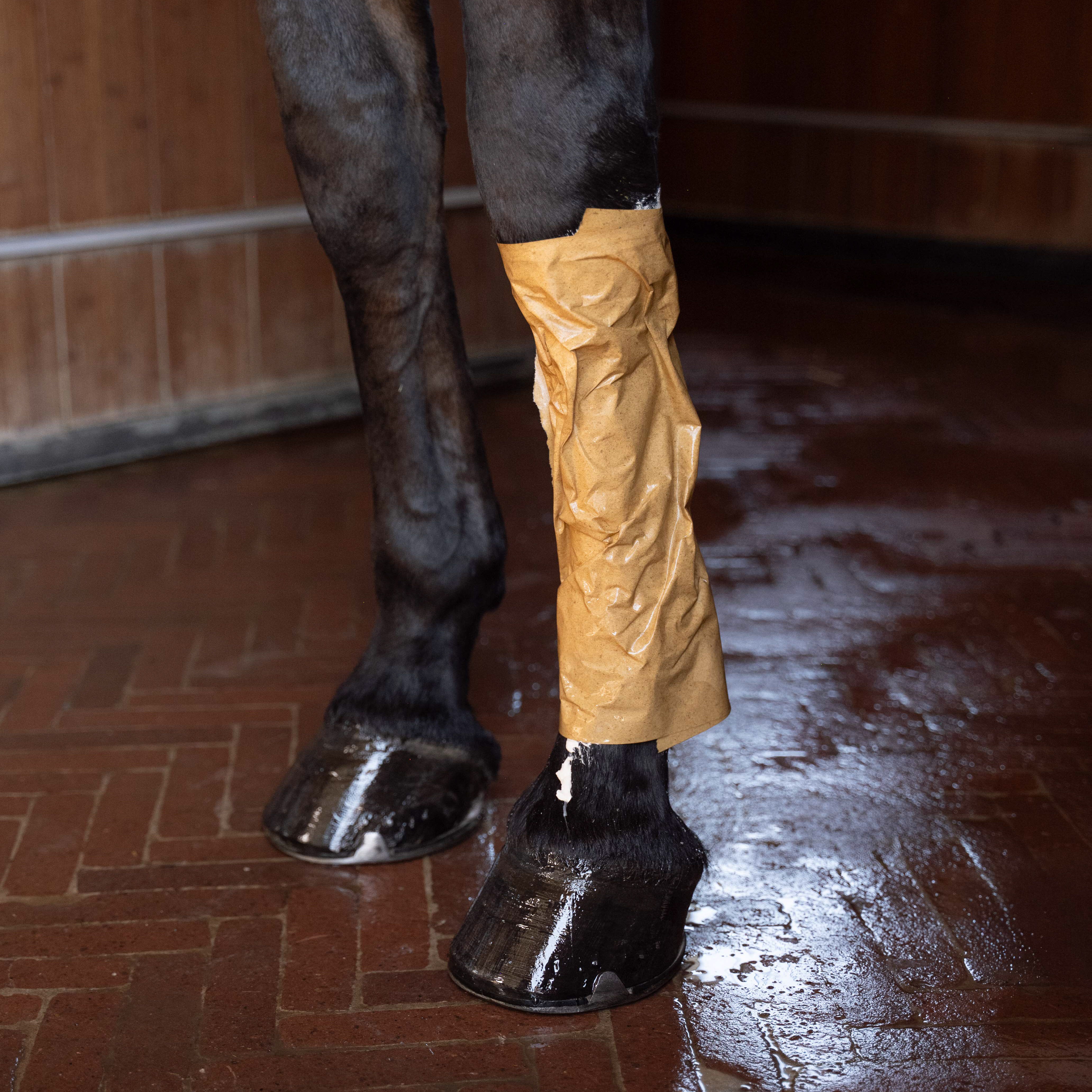 Pferd Leg Clay Paper Rol Of