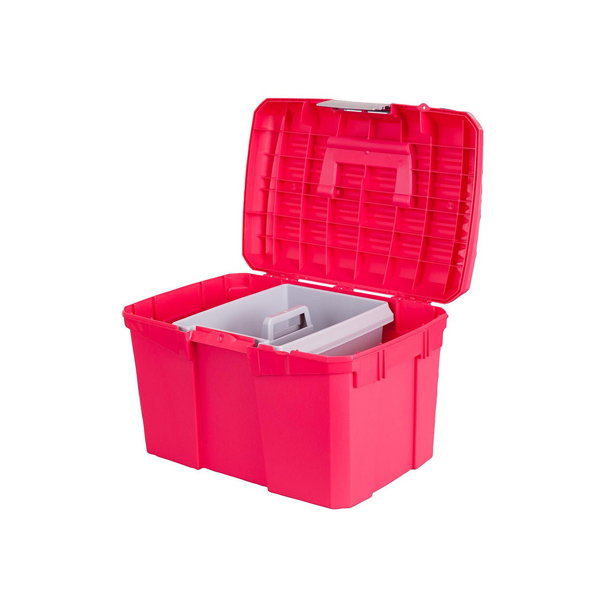 Panaro putzbox Carlo II