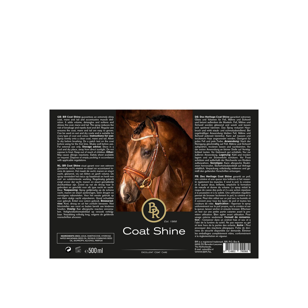 BR Coat Shine 500 ml VE6
