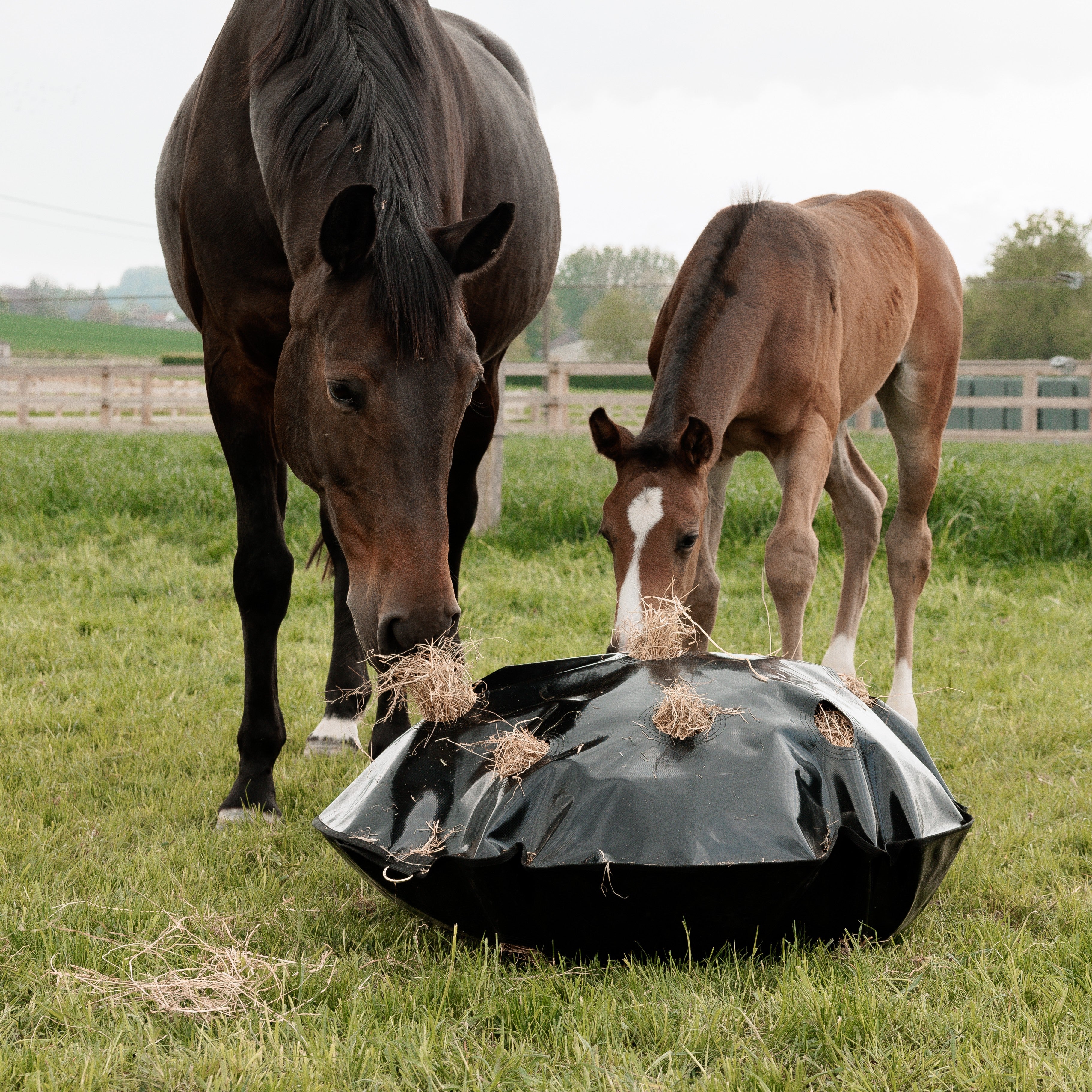 Play & Haybag Slowfeeder Rund