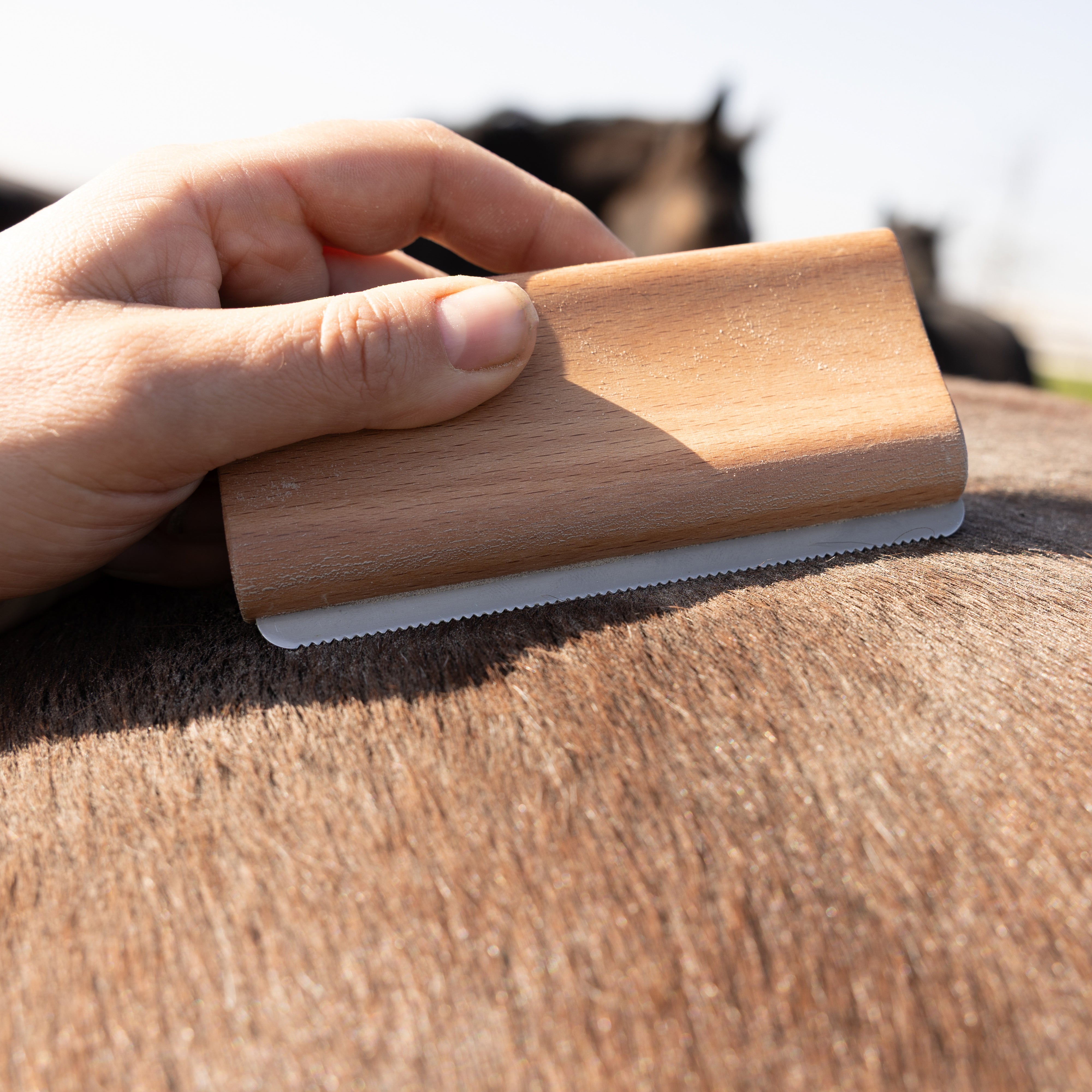 Easy Pflege Shedding Bürste