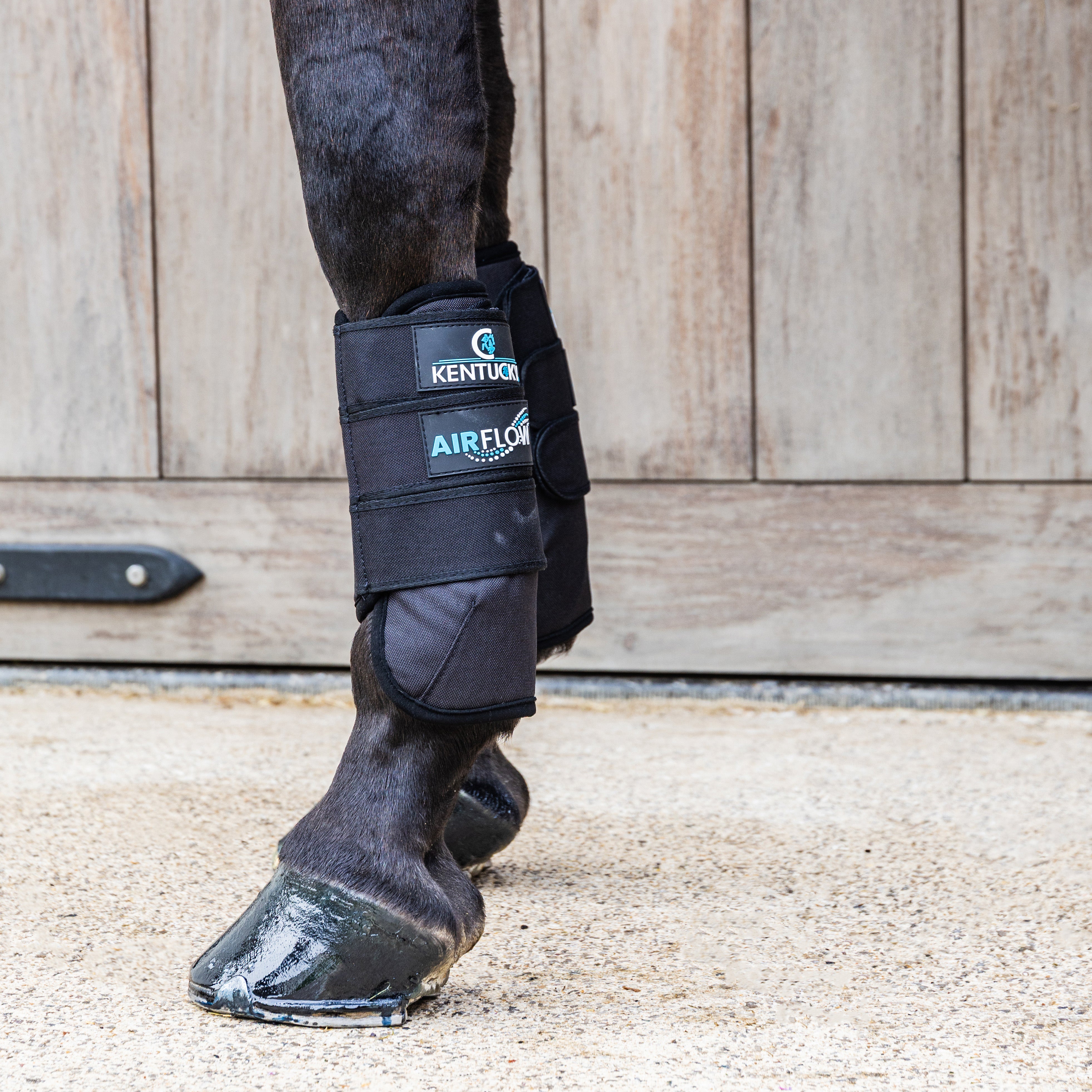 Eventing Gamaschen 3 Luft Flow Vorne