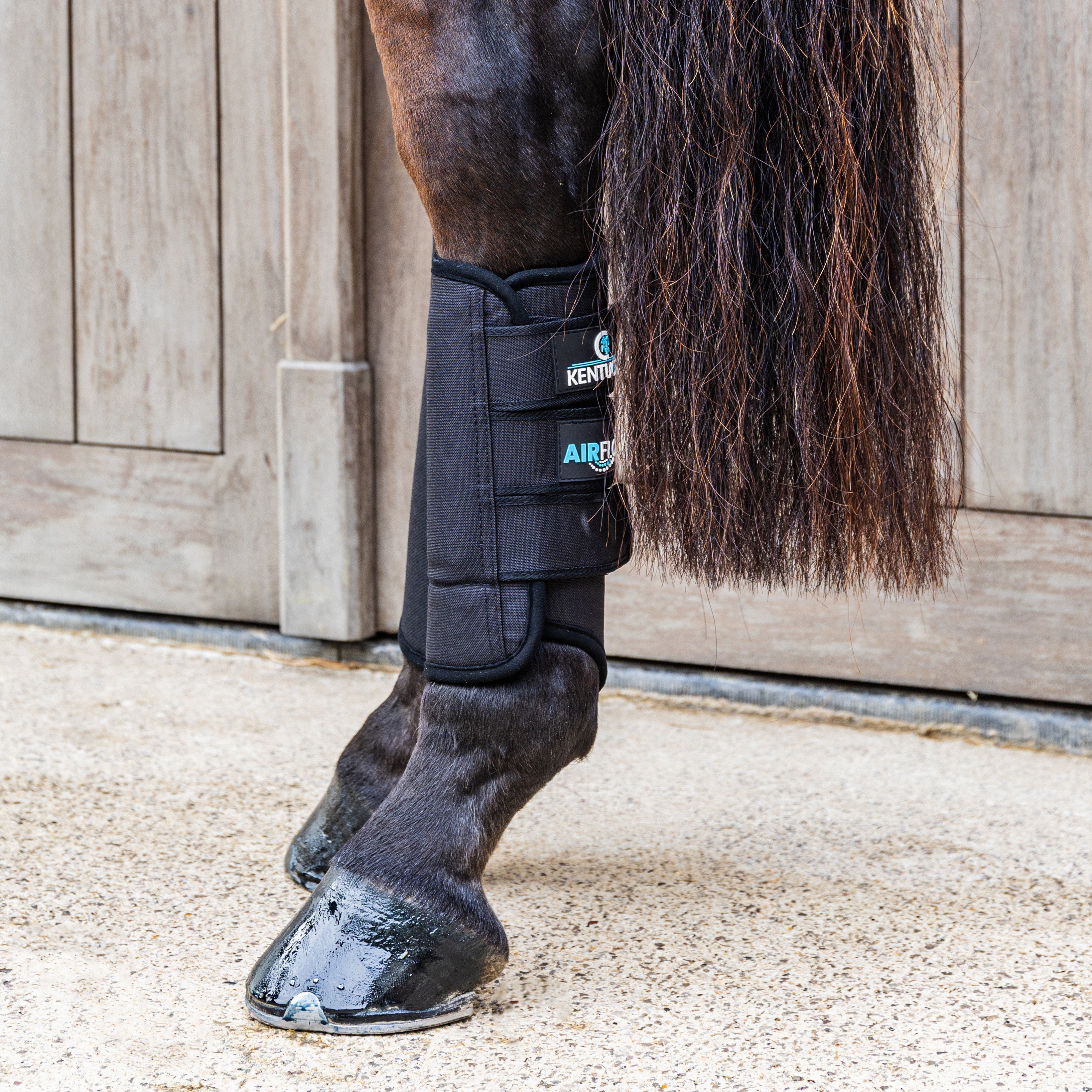 Eventing Gamaschen 3 Luft Flow Hinten