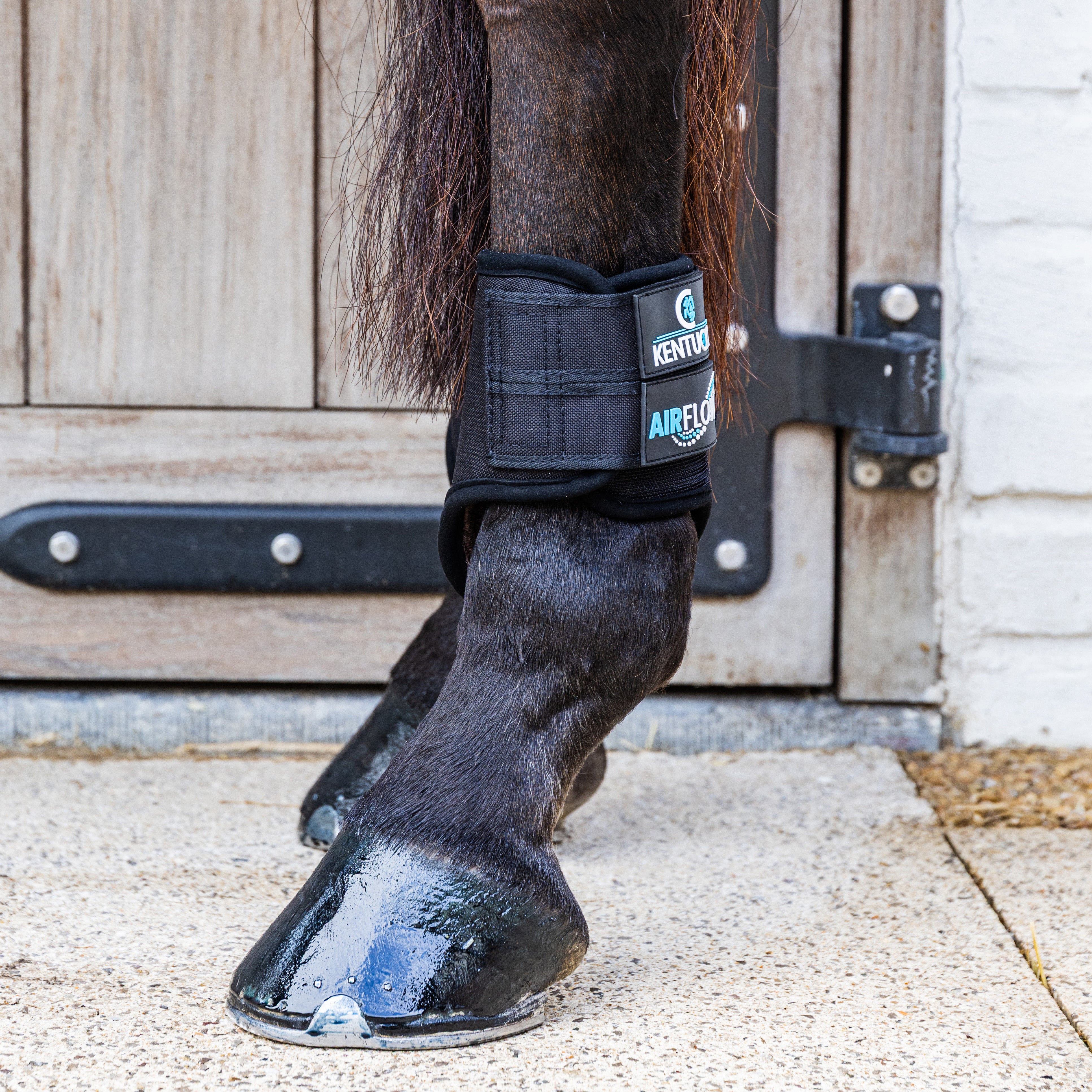 Eventing Gamaschen 3 Luft Flow Hinten Kurz