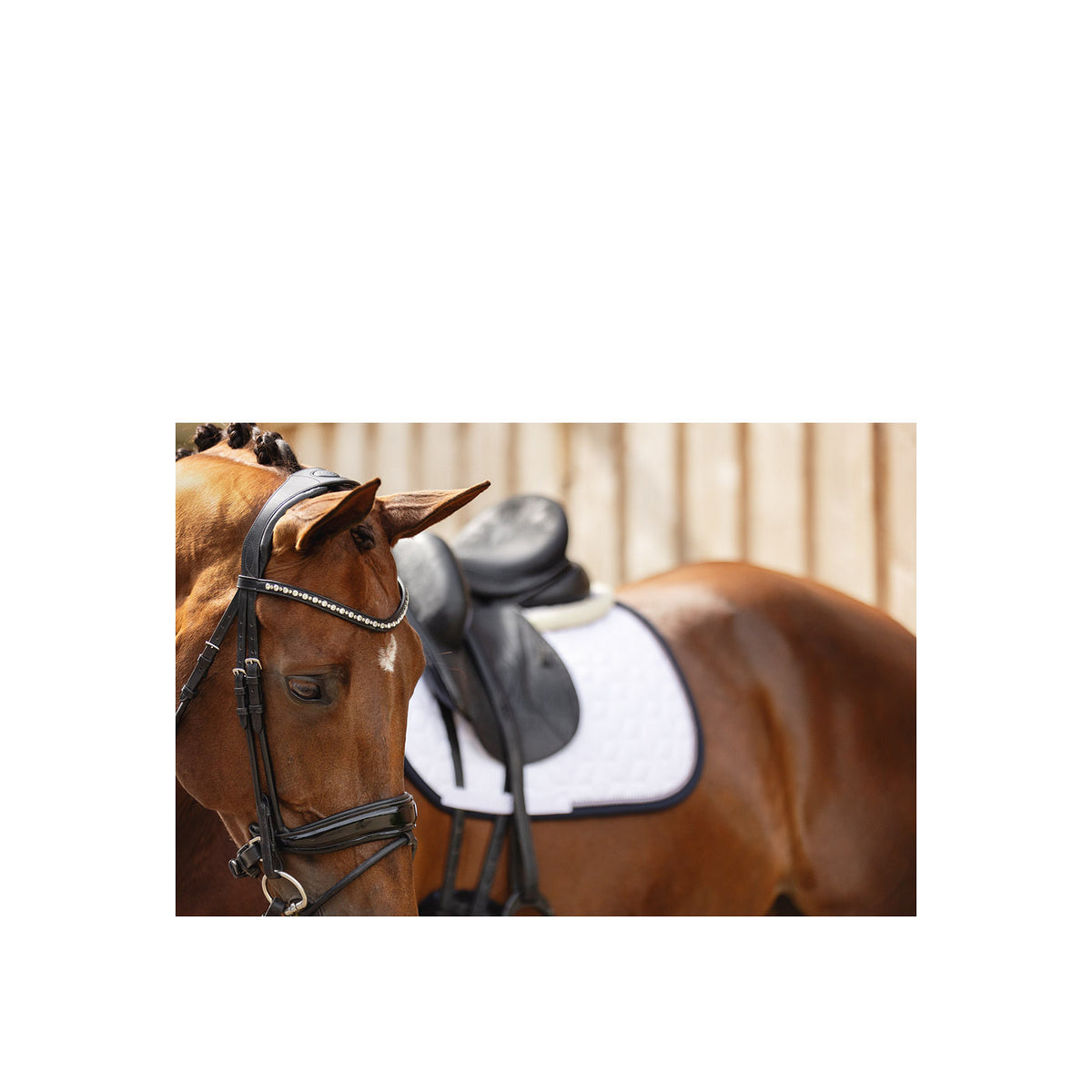 ANKY® Trense Comfort Fit, doppelt anatomisch ATH19002