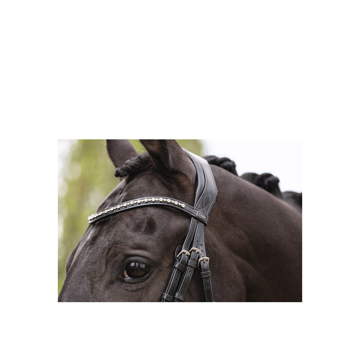 ANKY® Trense mit Pullback-Nasenriemen ATH19003