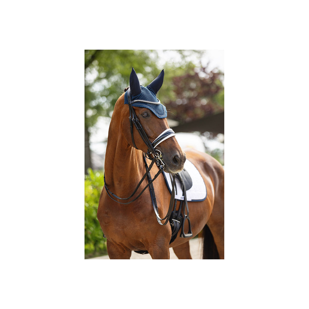 ANKY® Kandarenzaum ATH23002
