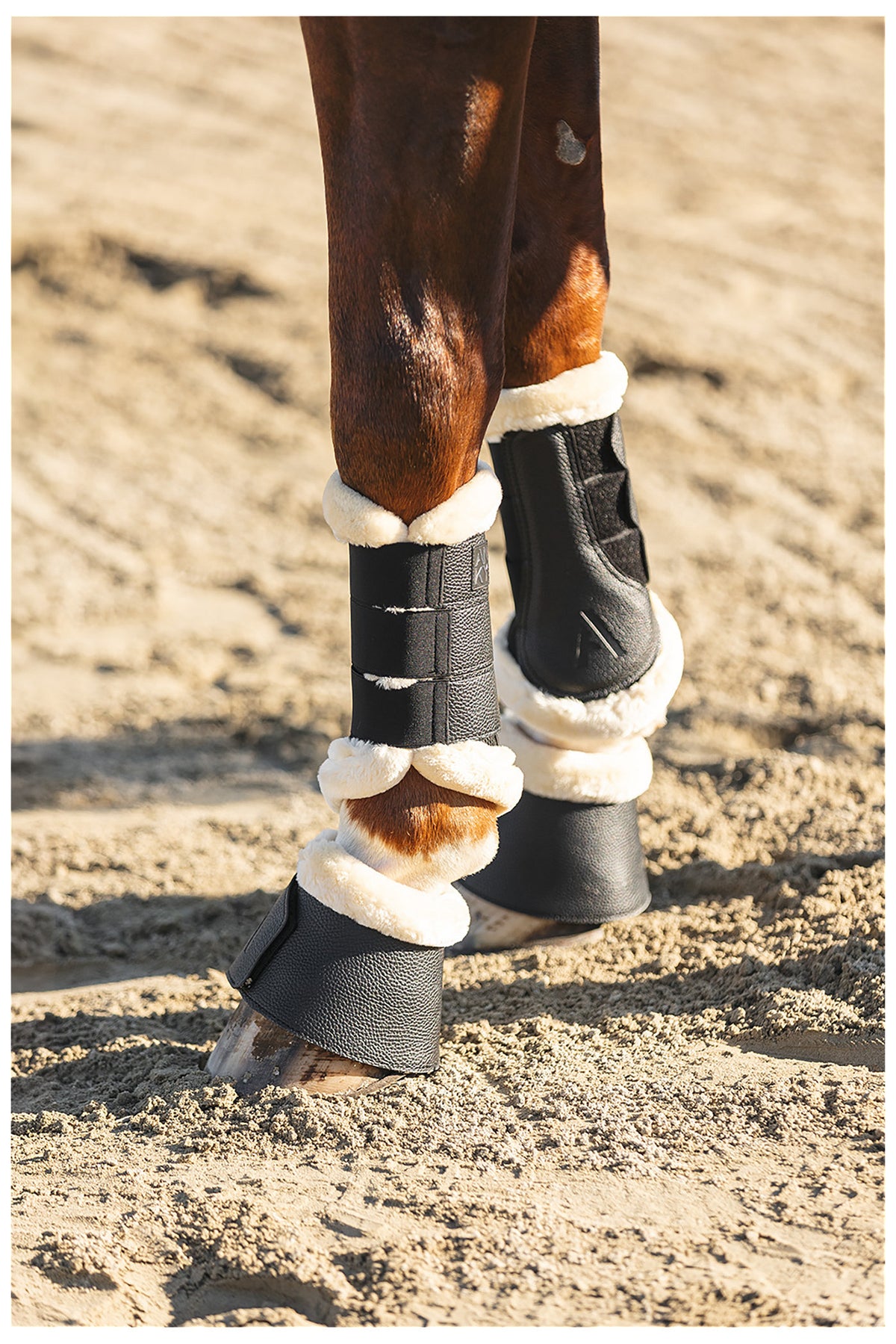 ANKY® Reitstiefel Proficient Mesh ATB26003
