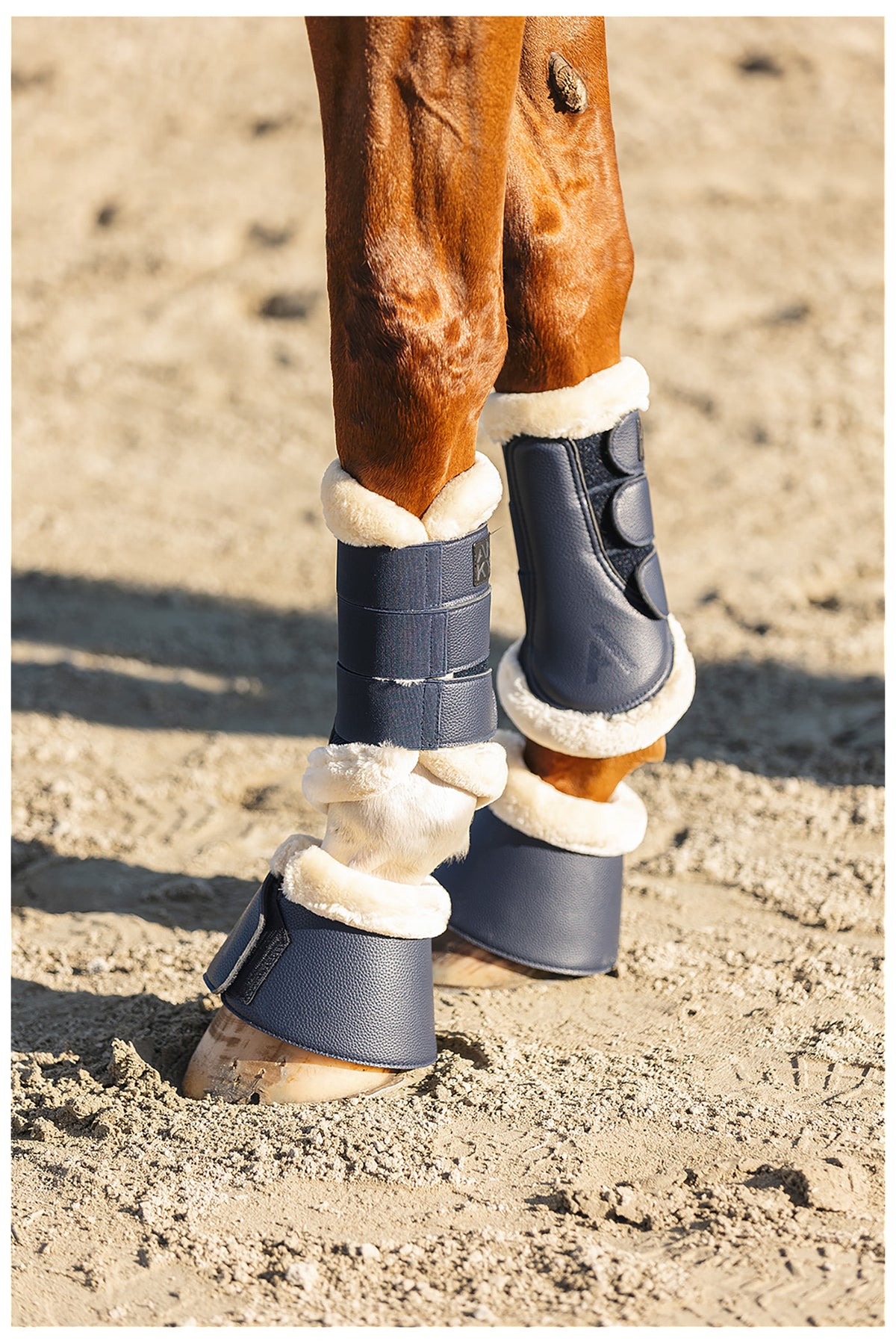 ANKY® Reitstiefel Proficient Mesh ATB26003