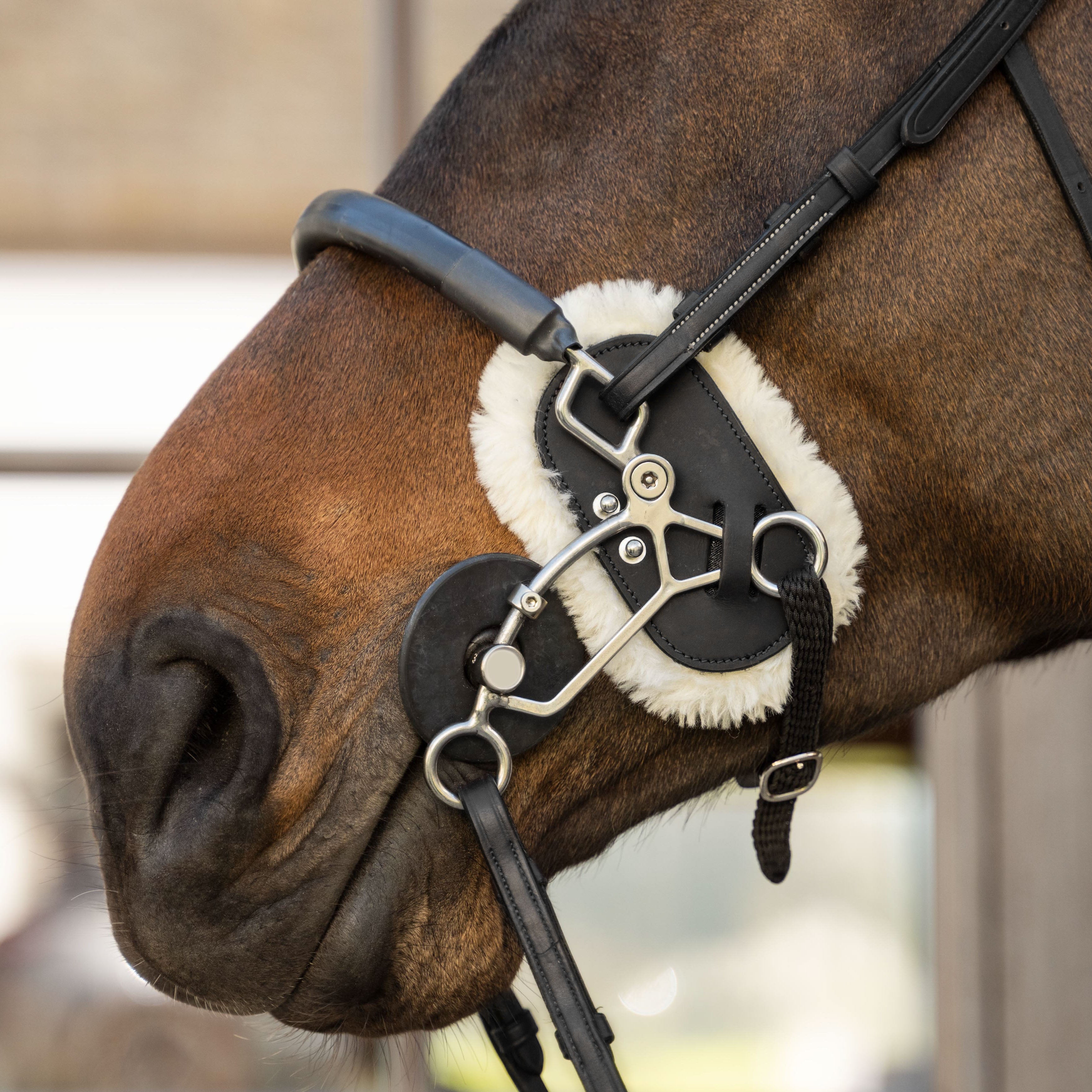 Hackamore Schutz Lammfell