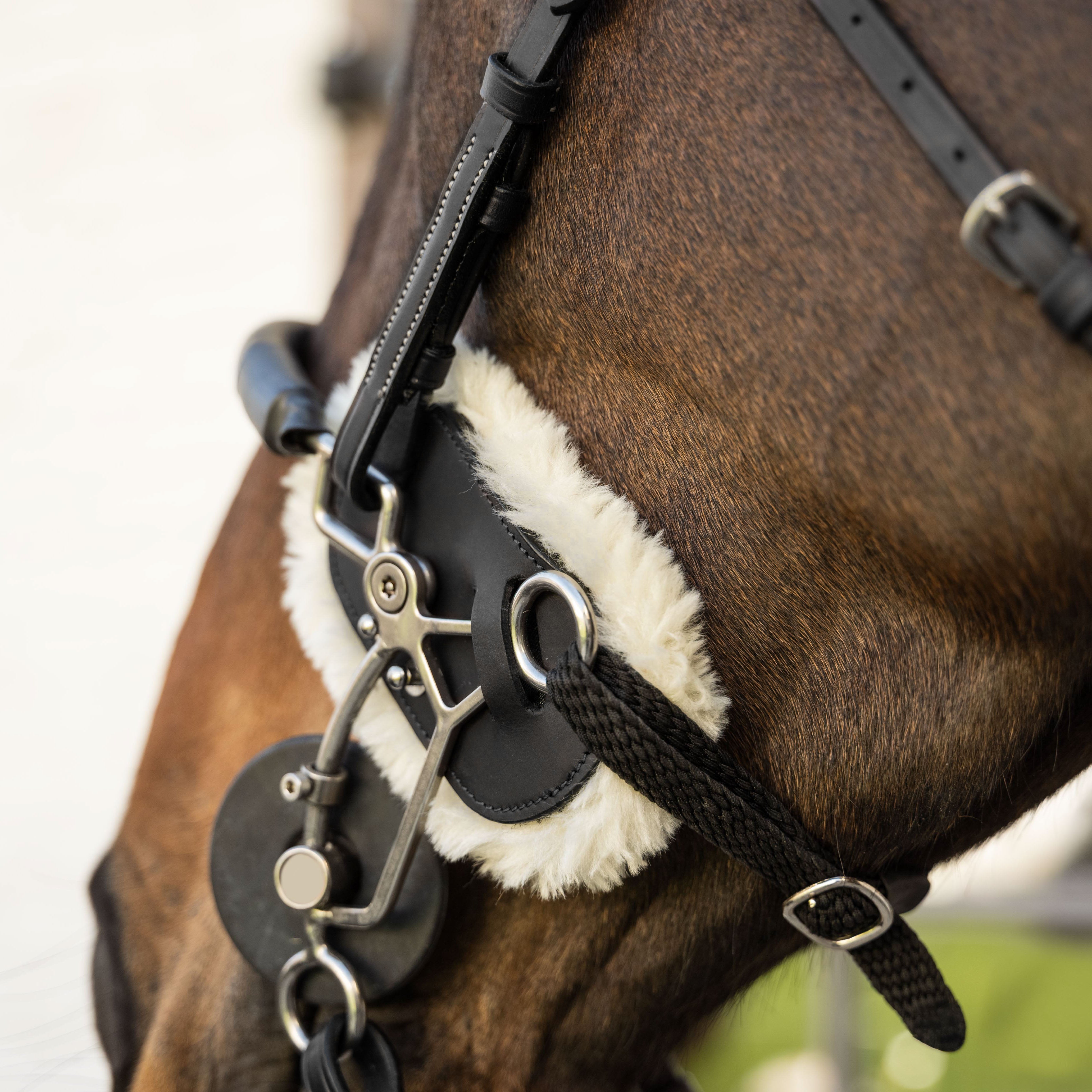 Hackamore Schutz Lammfell