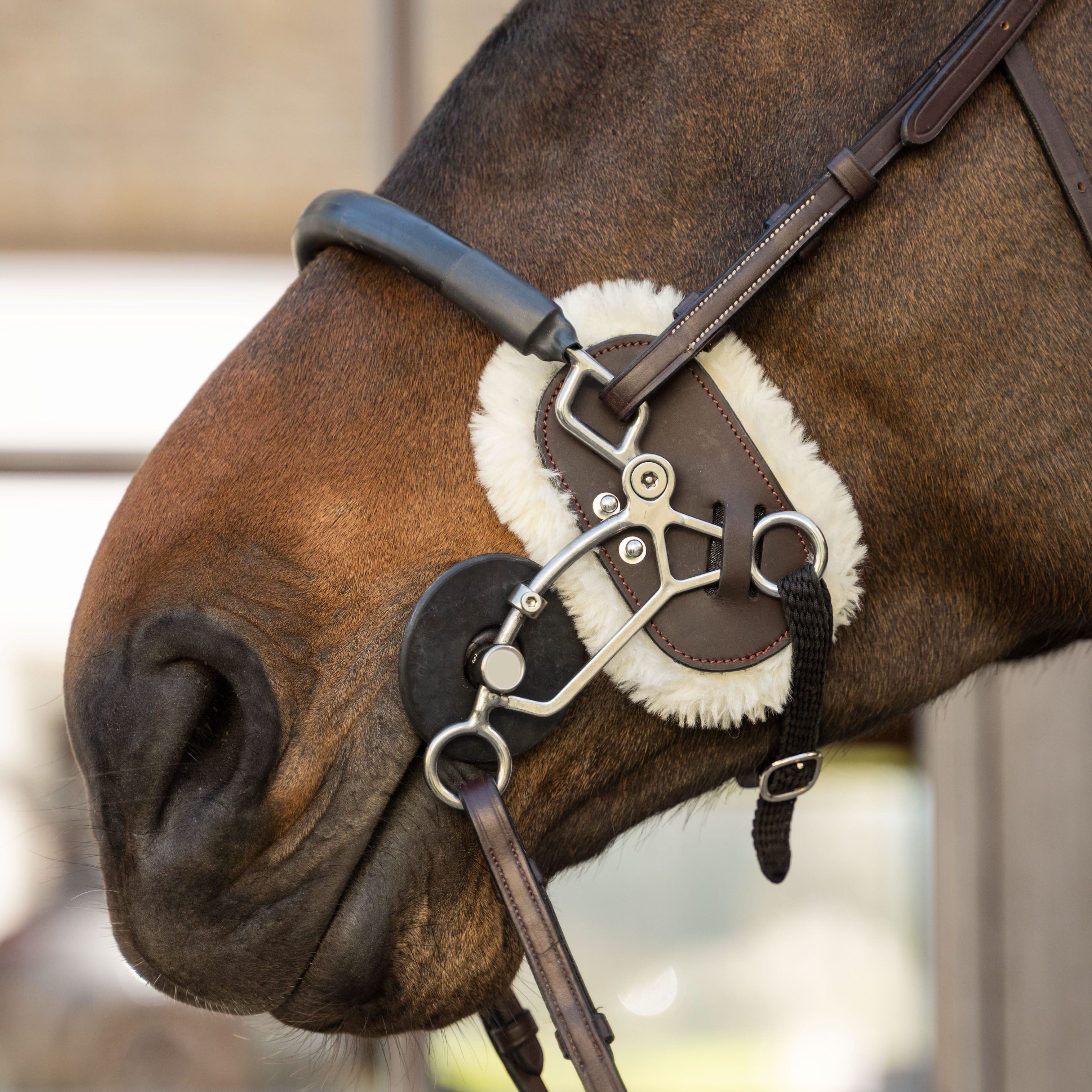 Hackamore Schutz Lammfell