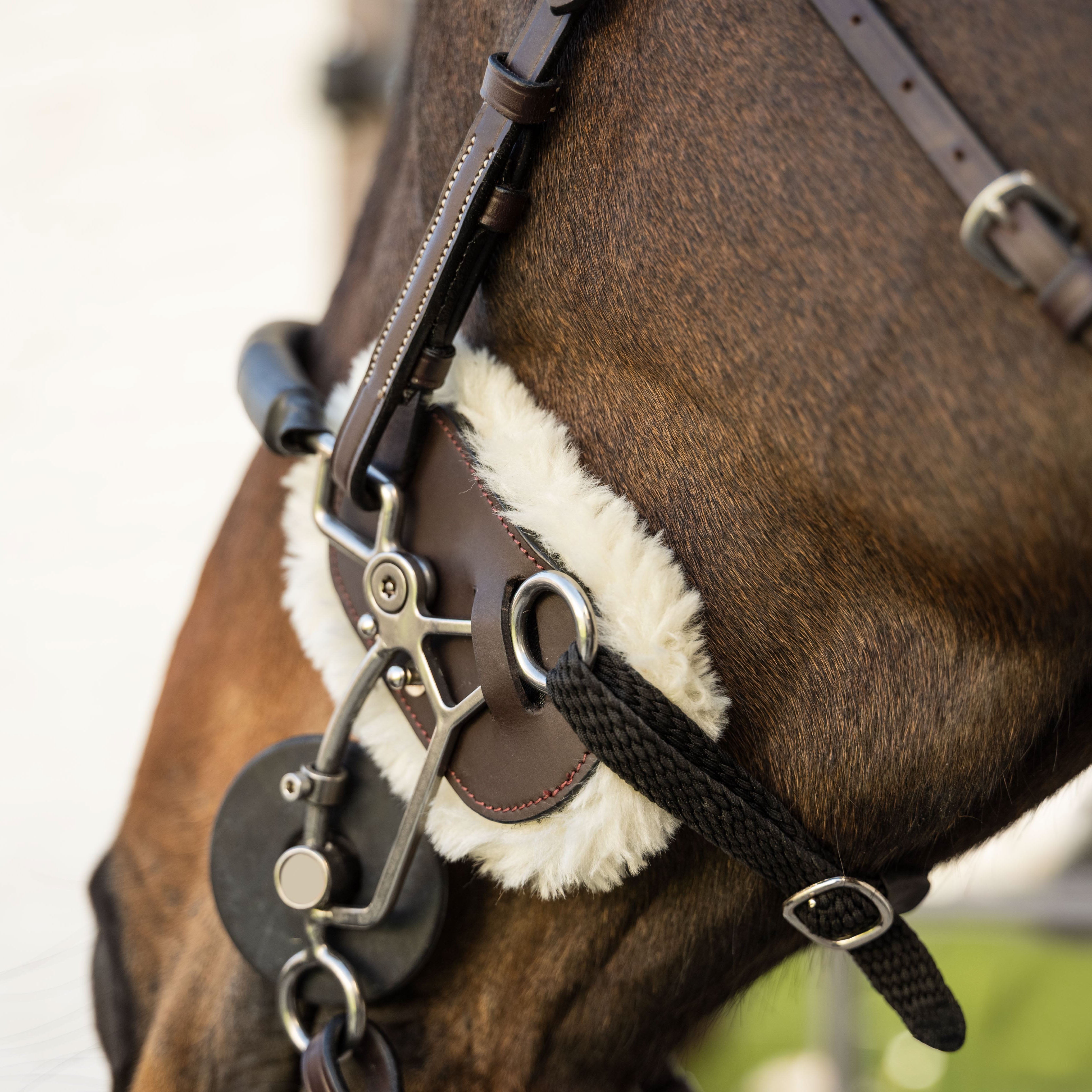 Hackamore Schutz Lammfell