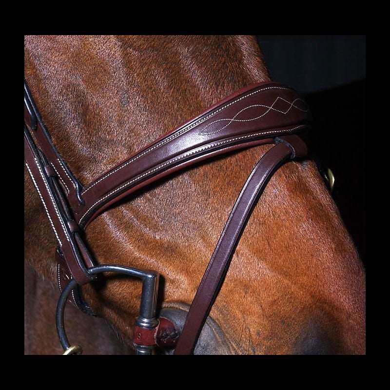 Anatomische Trense mit kombiniertem Reithalfter DYON Collection
