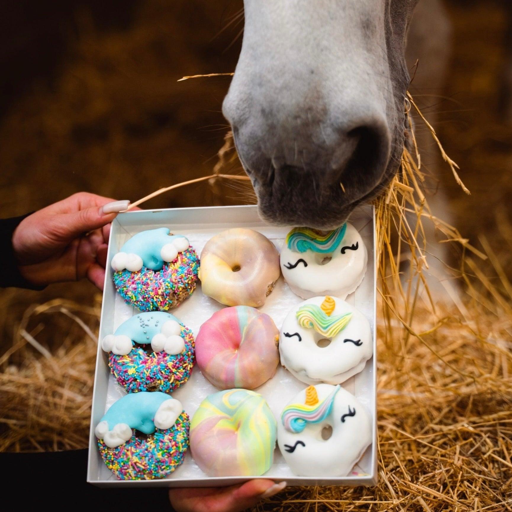 REGENBOGEN-EINHORN DONUT Leckerlies - Pony Bueno