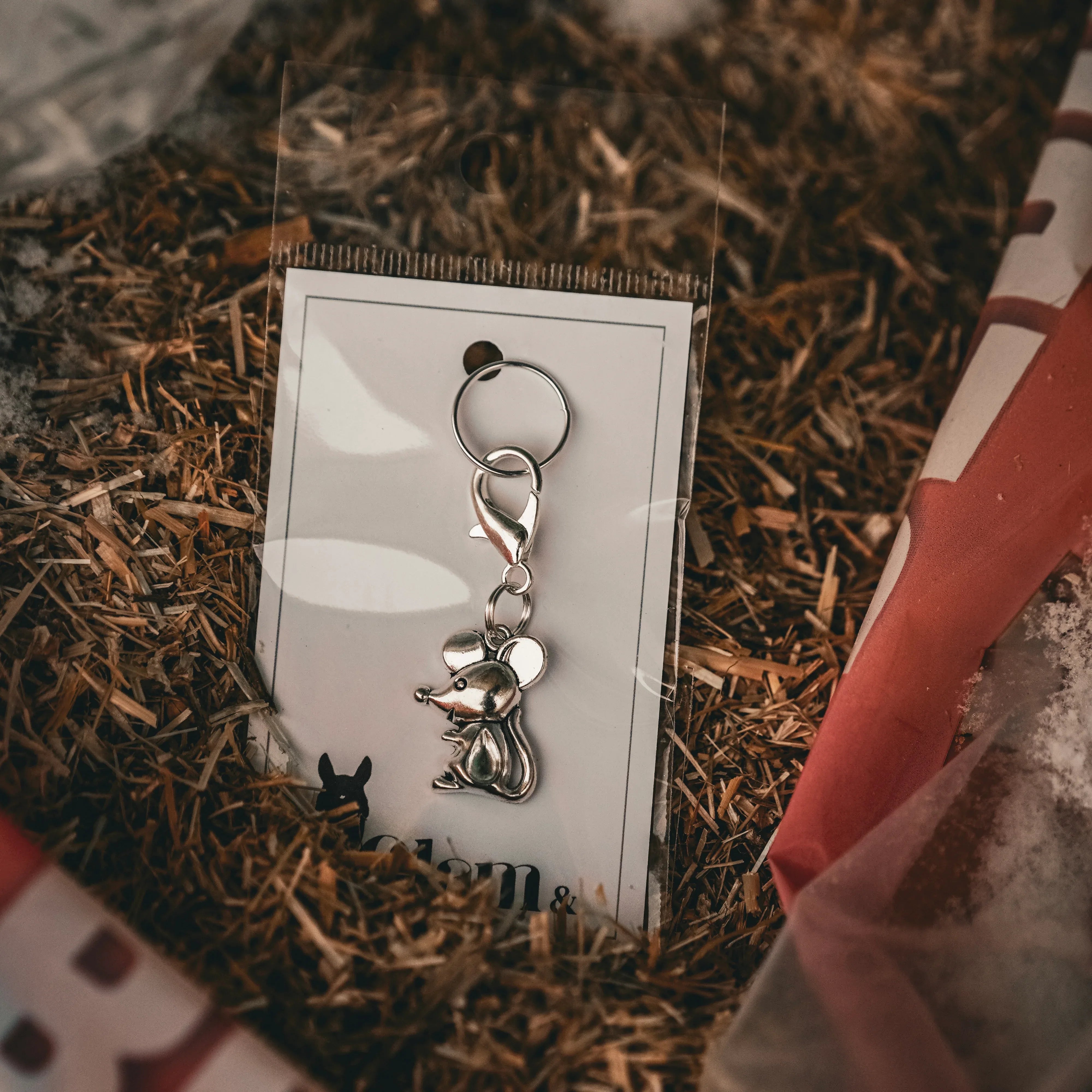 MAUS Charm