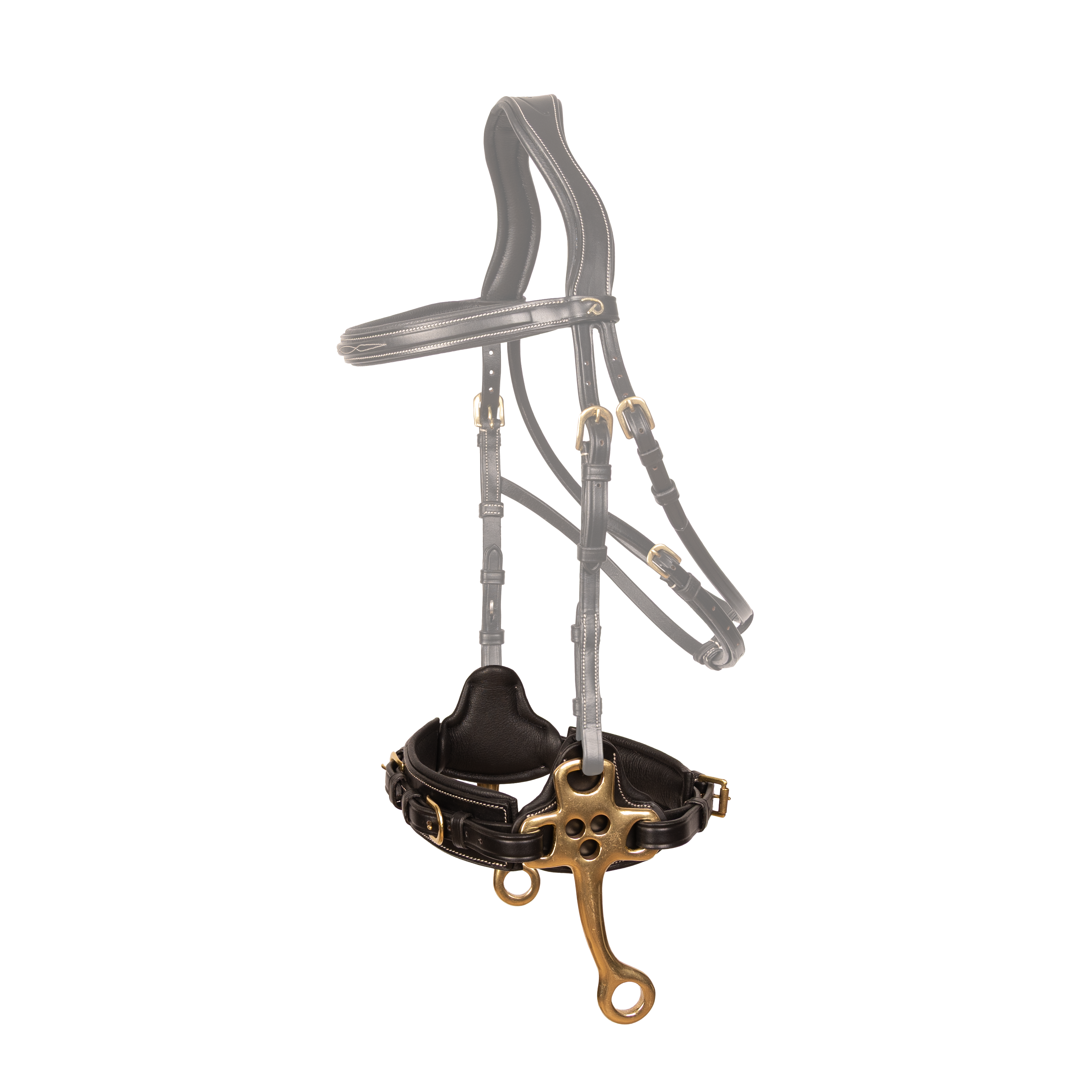Hackamore