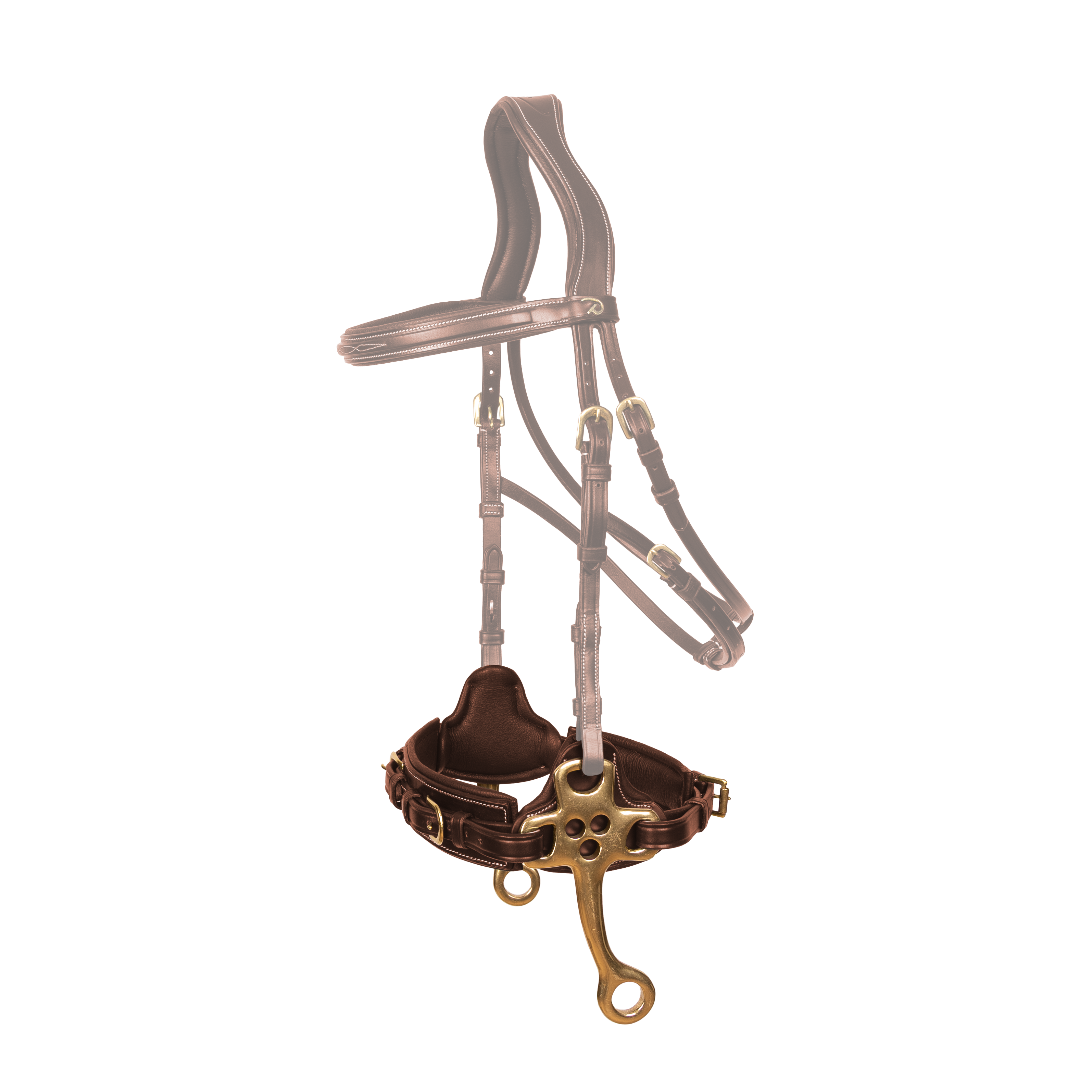 Hackamore