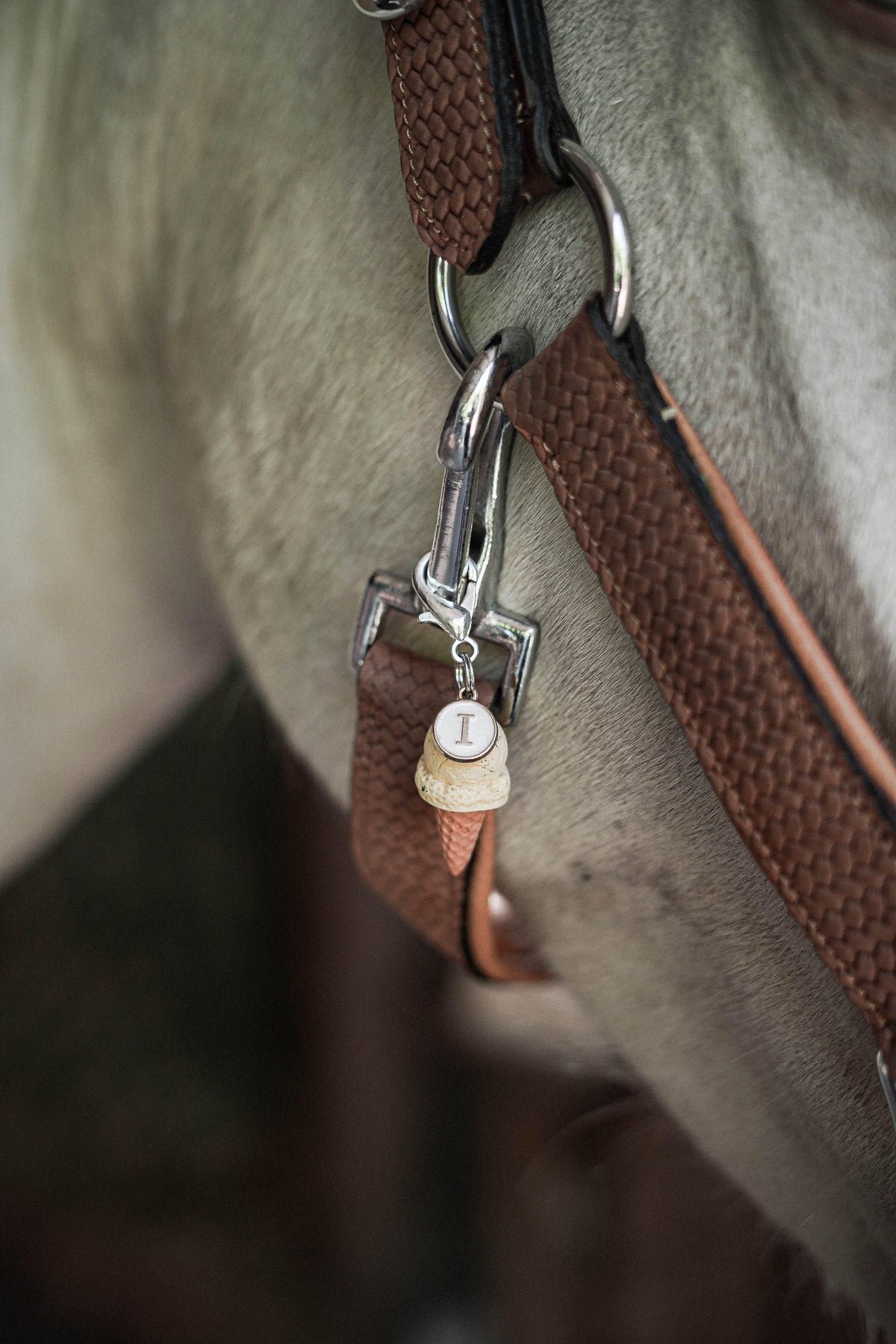 ICE CREAM Charm