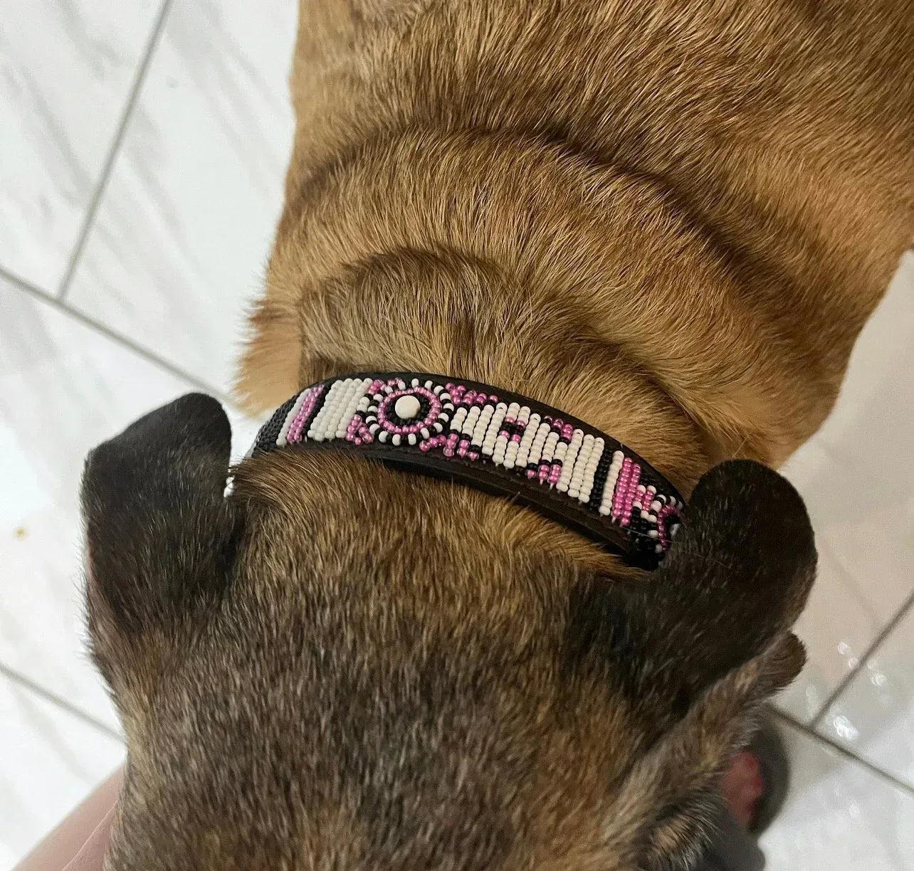 Hundehalsband Maasai Perlen (alle Designs) - Glam & Gallop