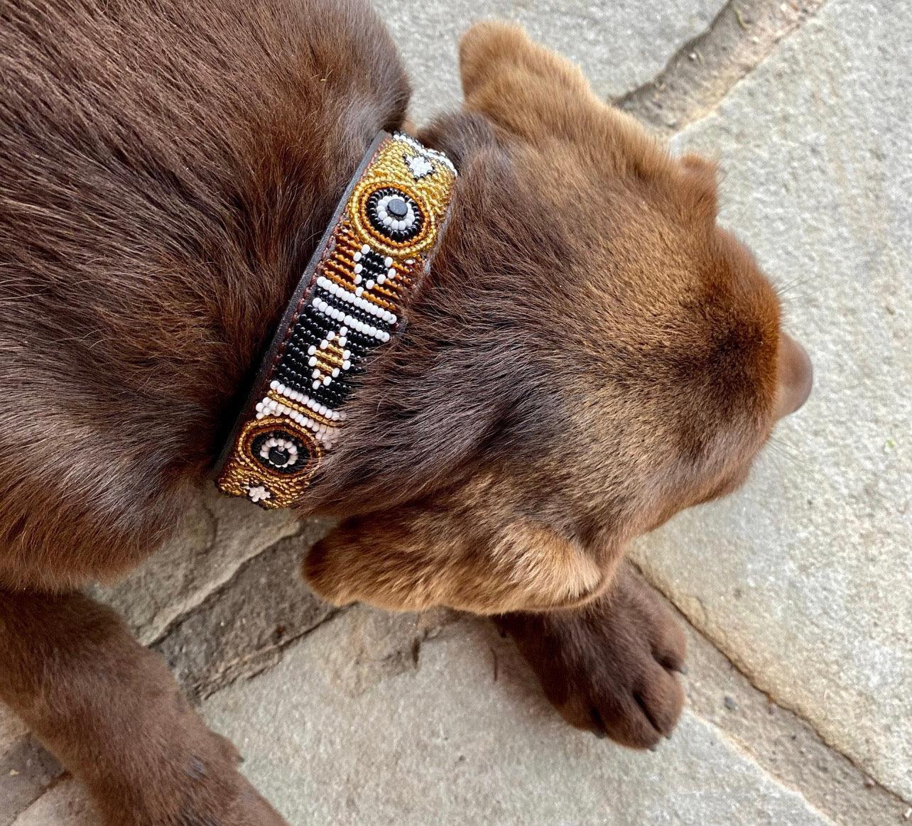 Hundehalsband Maasai Perlen (alle Designs) - Glam & Gallop