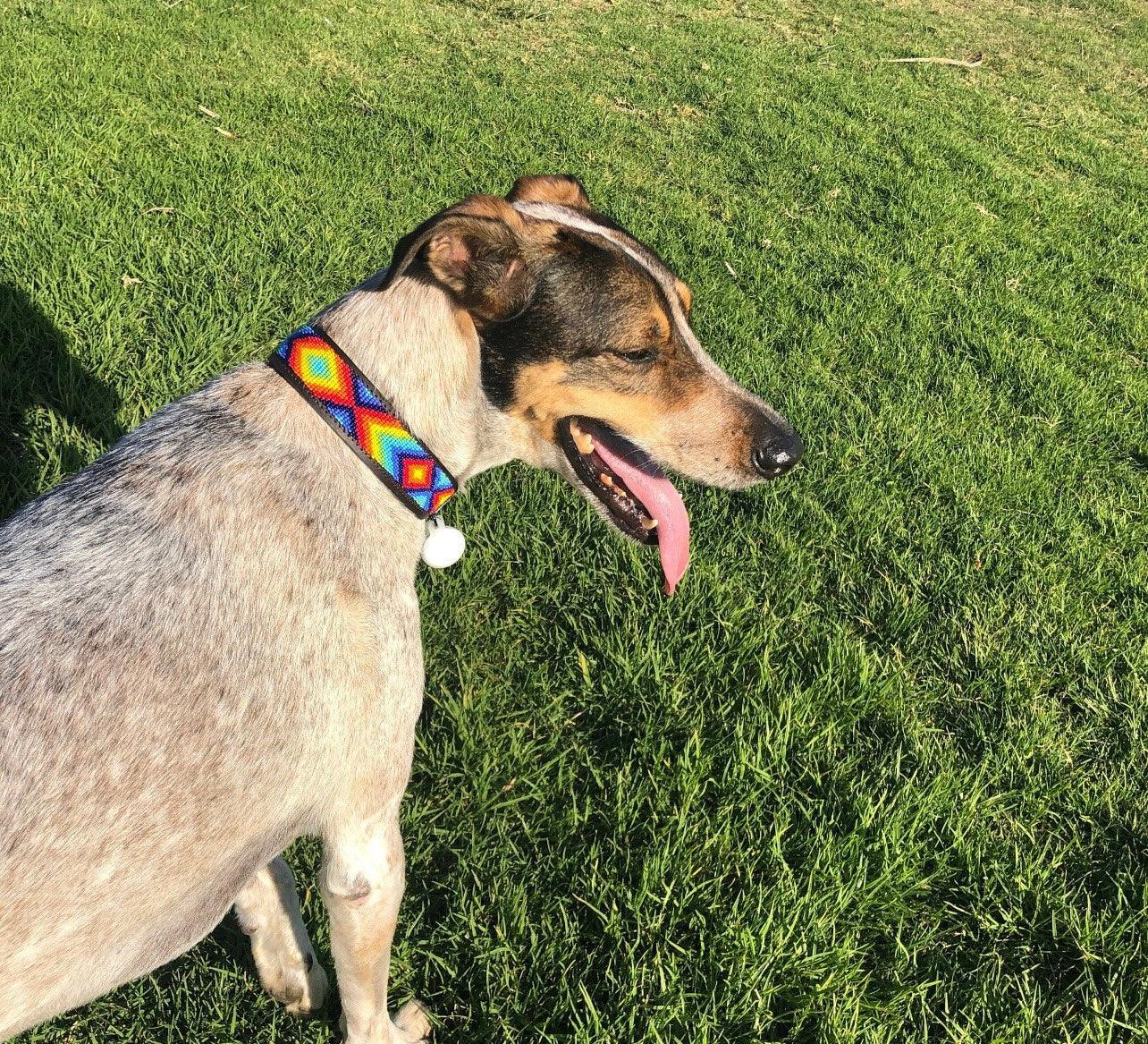 Hundehalsband Maasai Perlen (alle Designs) - Glam & Gallop