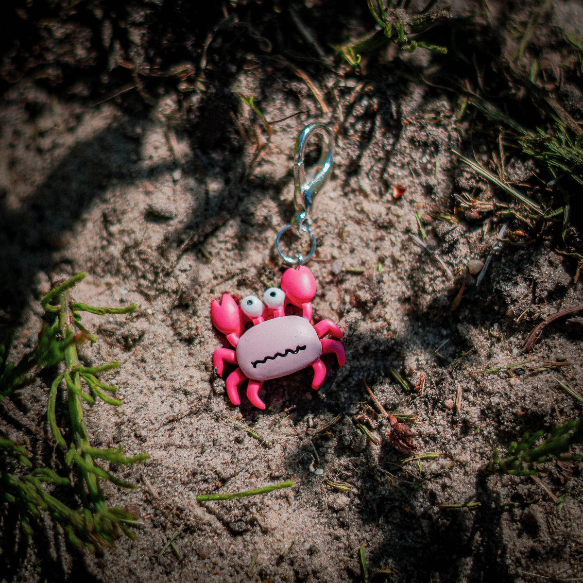 KREBS Charm