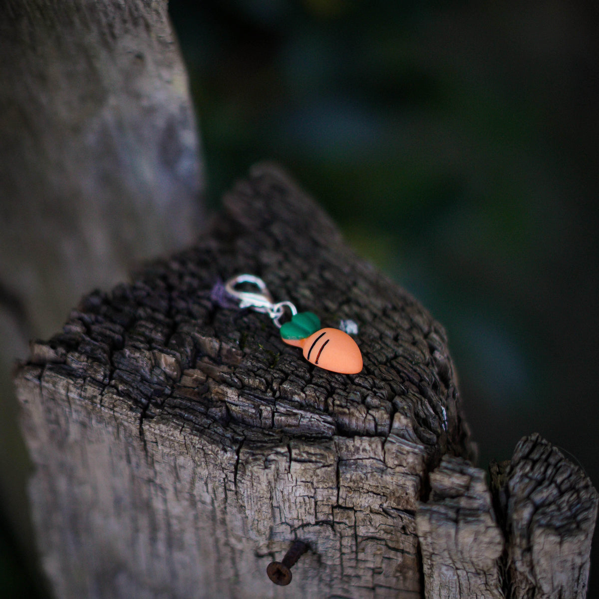MÖHRENLIEBE Charm