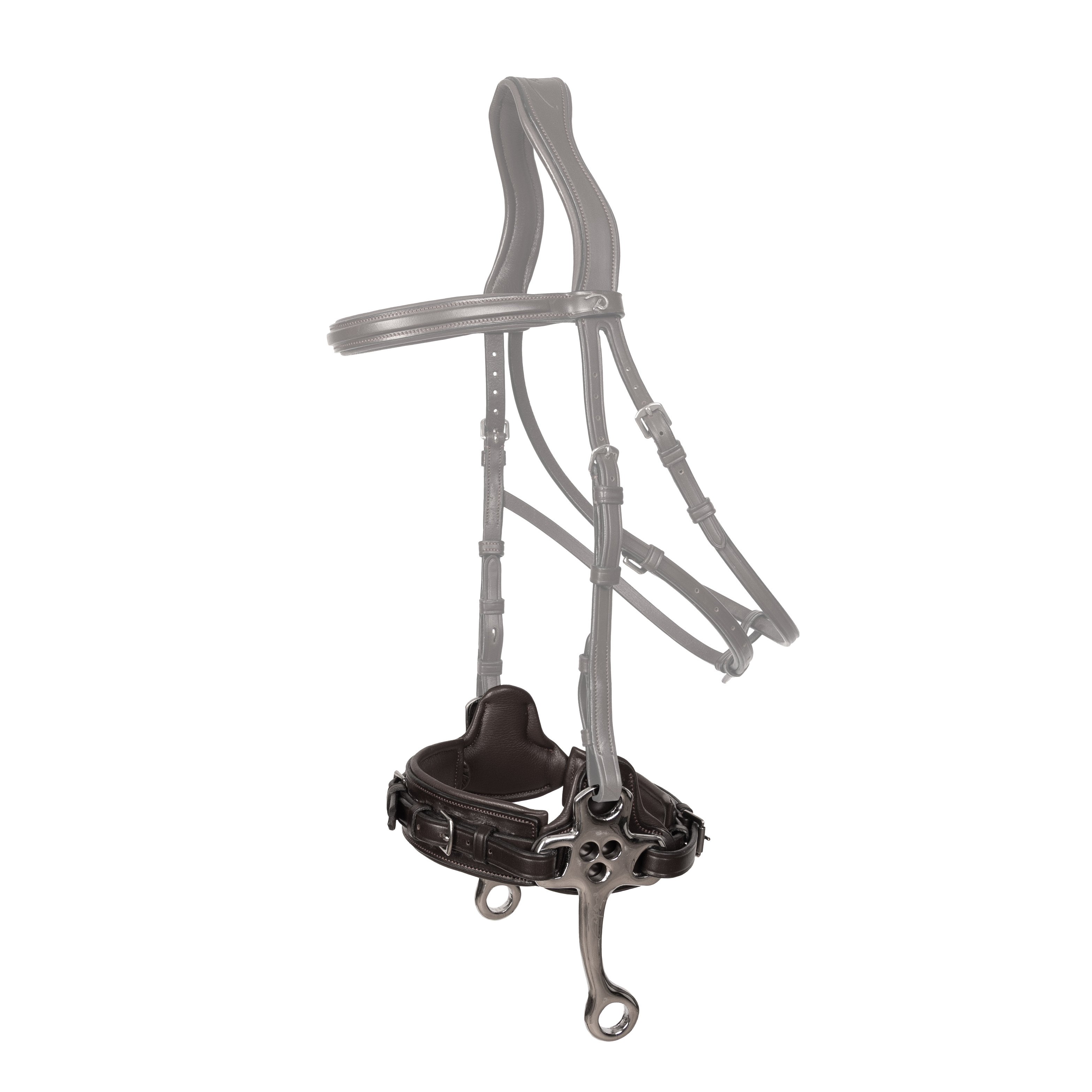Hackamore