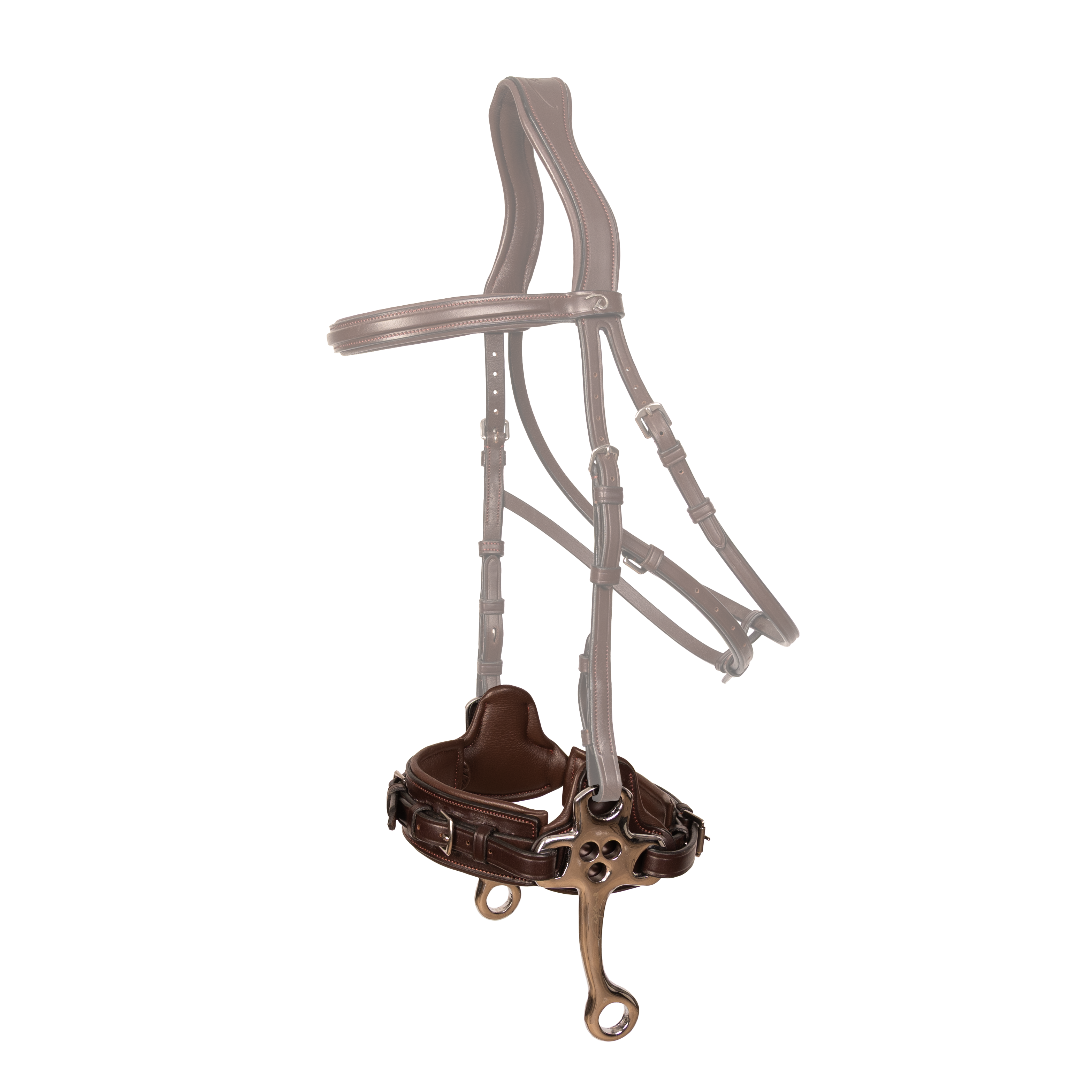 Hackamore