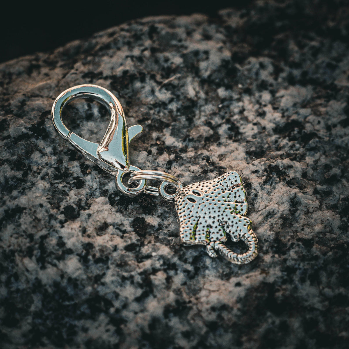 ROCHEN Charm