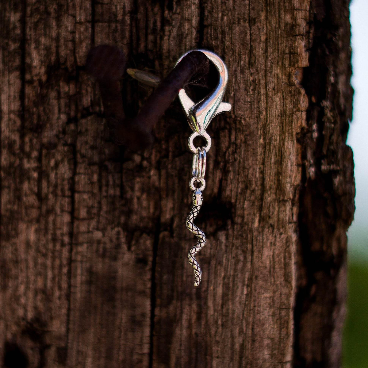 SCHLANGE Charm