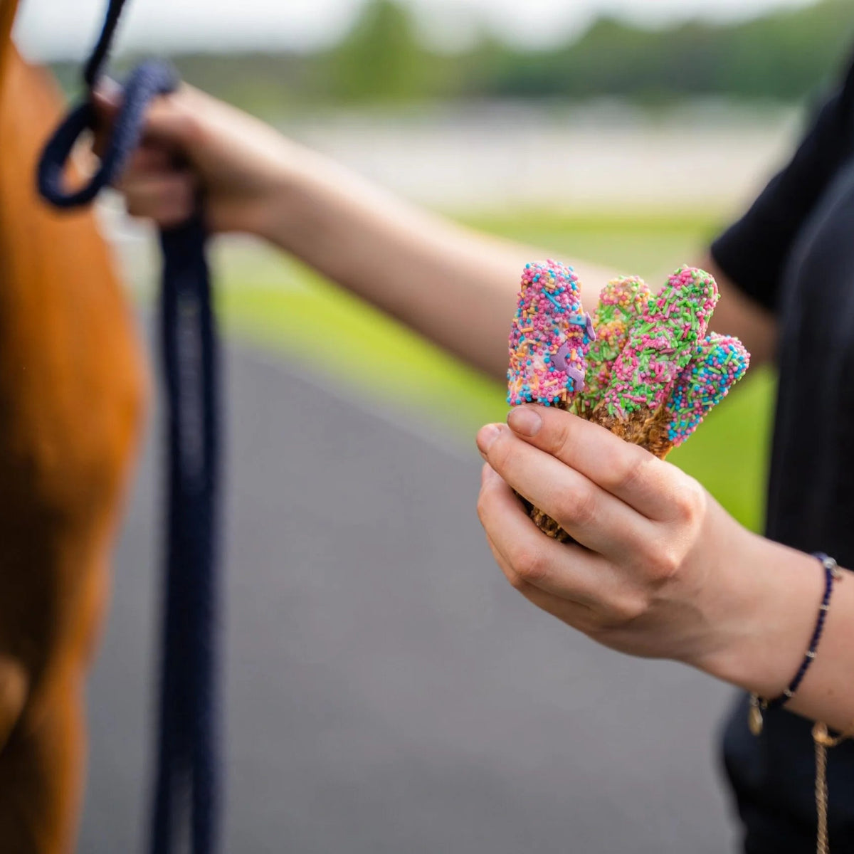 SPRINKLE LOLLIES Leckerlies - Pony Bueno