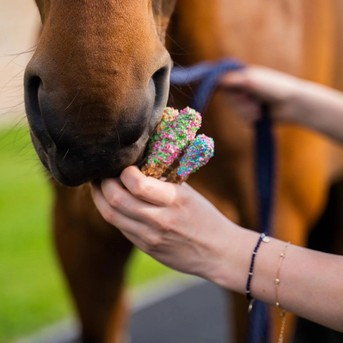 SPRINKLE LOLLIES Leckerlies - Pony Bueno