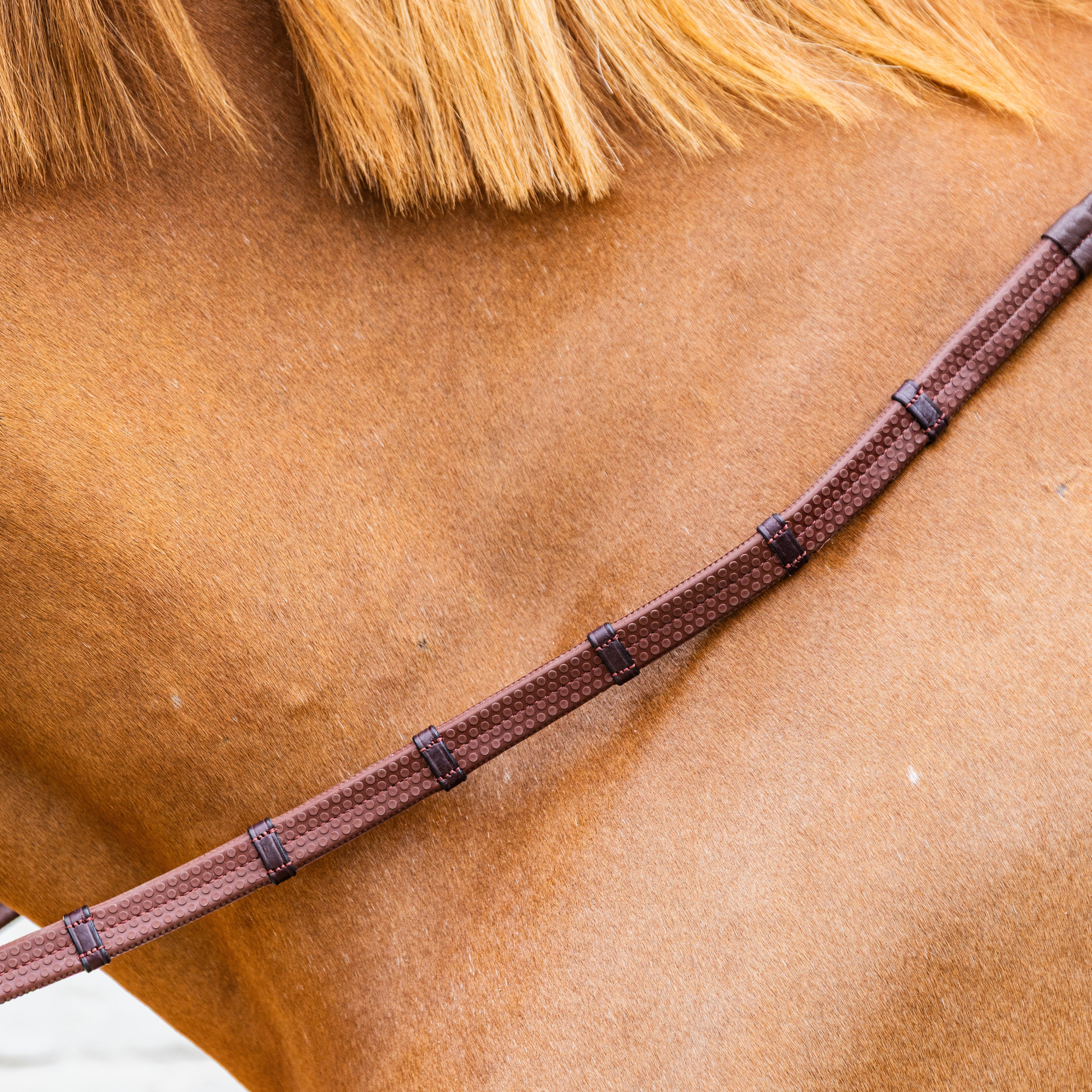 Gummizügel 5 Mit Lederschlaufen Und Karabiner