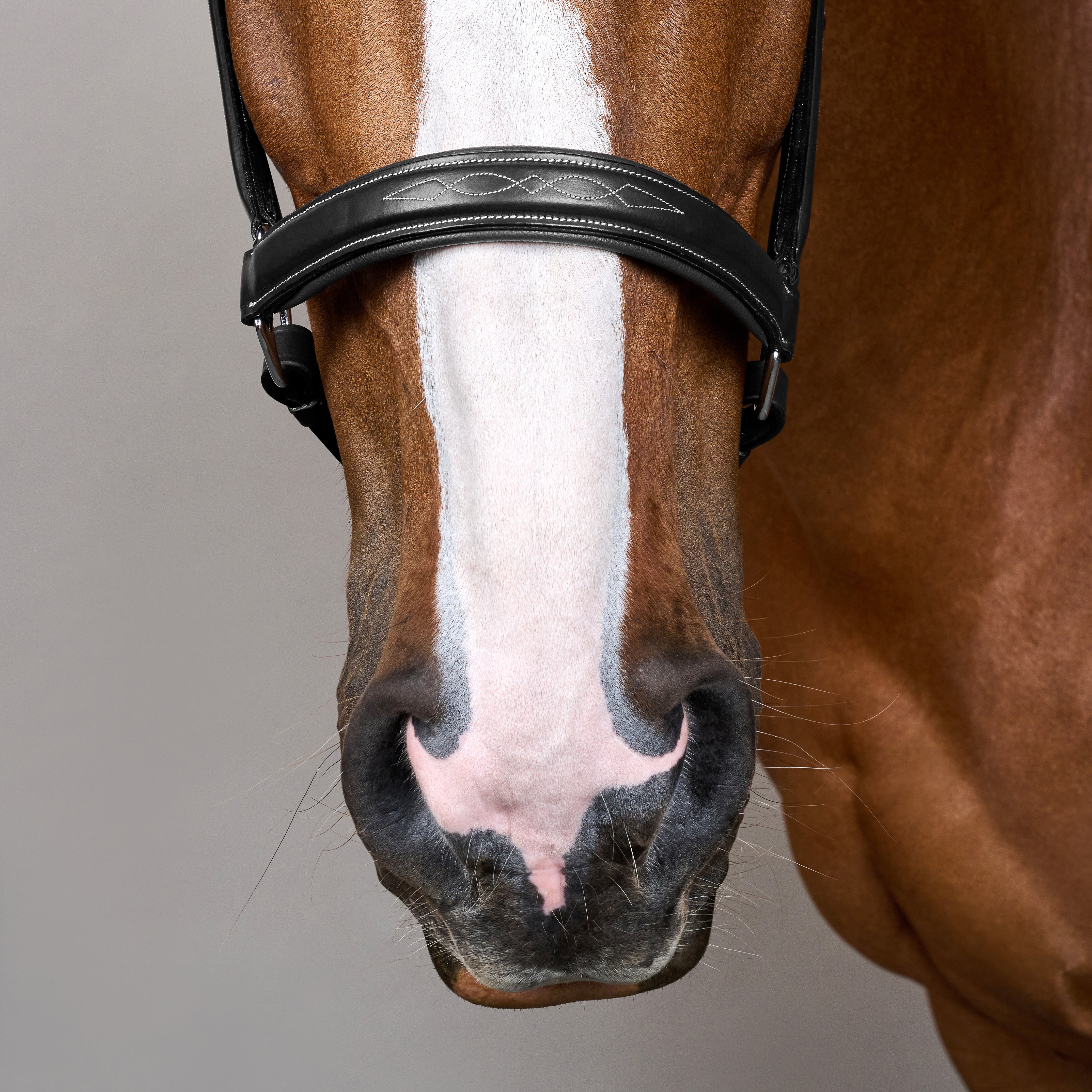 Kopf Halsband Fancy