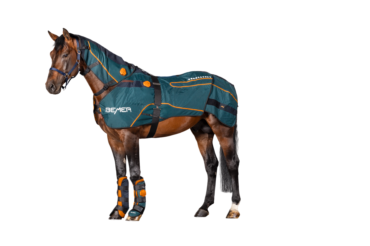 Bemer Horse Set mieten / leihen