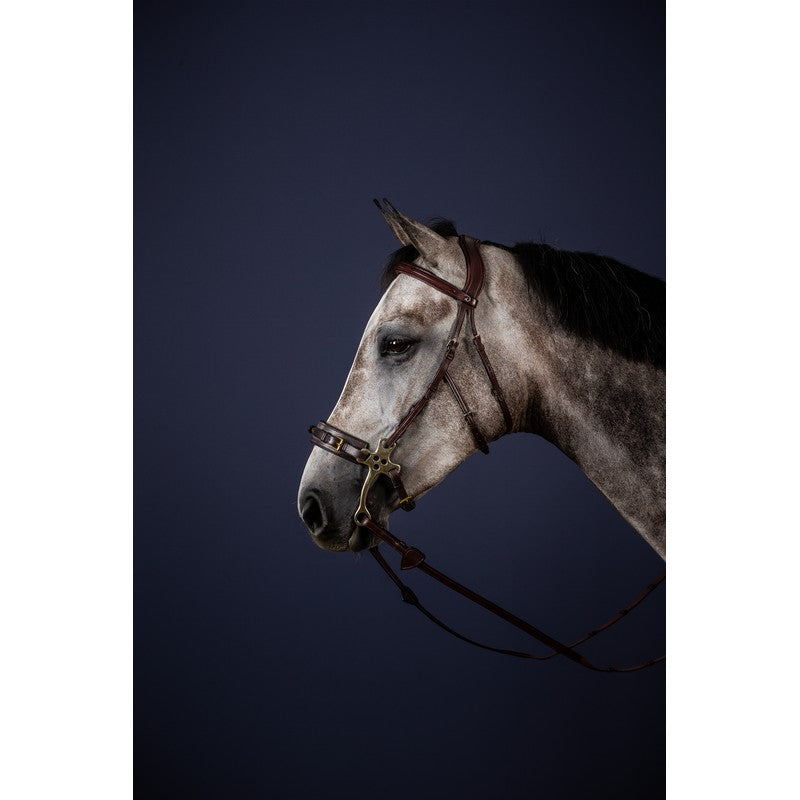 Hackamore Trense NEW ENGLISH Collection